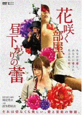 灰姑娘真人版2026